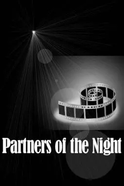 Partners of the night - постер