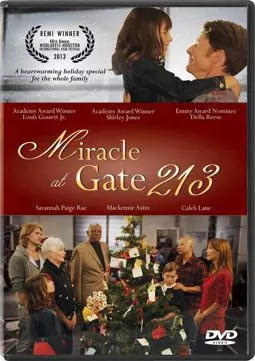 Miracle at Gate 213 - постер