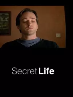 Secret Life - постер