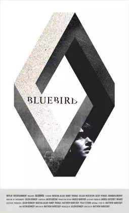 Bluebird - постер
