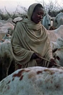 Boran Herdsmen - постер