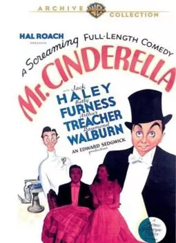 Mister Cinderella - постер
