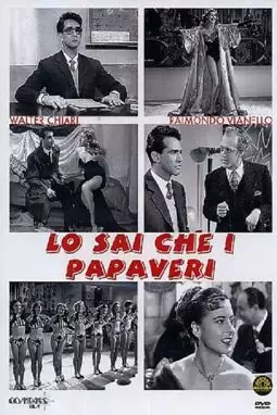 Lo sai che i papaveri - постер