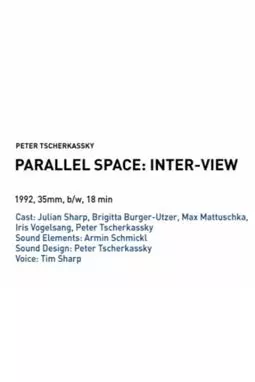 Parallel Space: Inter-View - постер