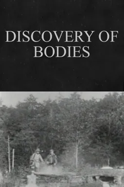 Discovery of Bodies - постер