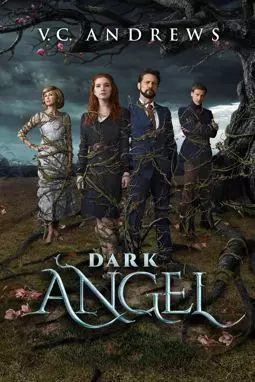 Тёмный ангел - постер