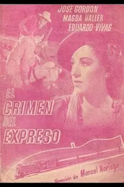 El crimen del expreso - постер