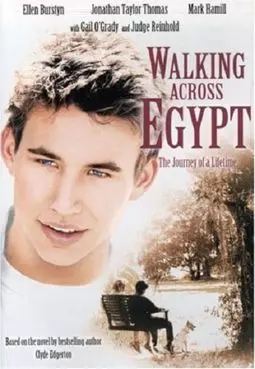 Прогулка по Египту - постер