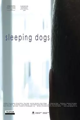 Sleeping Dogs - постер