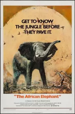 Африканский слон - постер