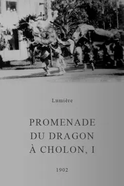 Promenade du dragon à Cholon - постер