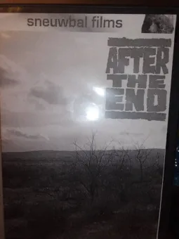 After the End - постер