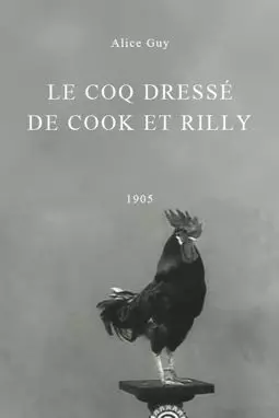 Le coq dressé de Cook et Rilly - постер