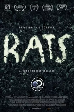 Крысы - постер