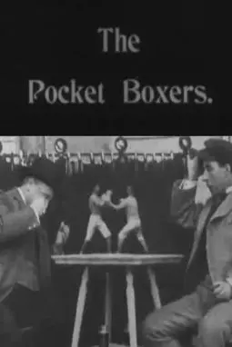 Pocket Boxers - постер