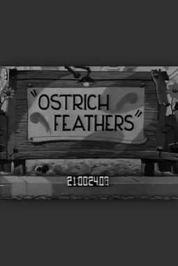 Ostrich Feathers - постер