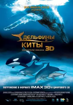 Дельфины и киты 3D  - постер