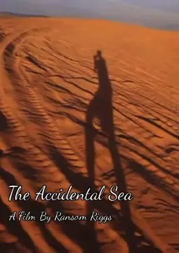 The Accidental Sea - постер