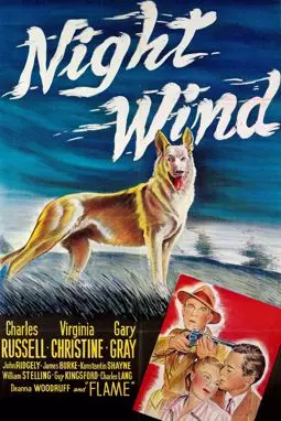 Night Wind - постер
