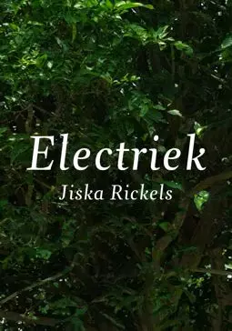 Electriek - постер