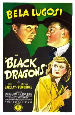 Черные драконы - постер