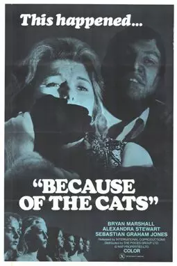 Из-за кошек - постер