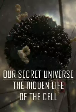 Внутренняя Вселенная: Тайная жизнь клетки - постер