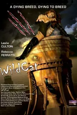 WildCat - постер
