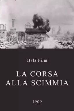 La corsa alla scimmia - постер