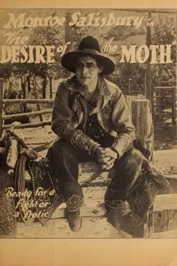 The Desire of the Moth - постер