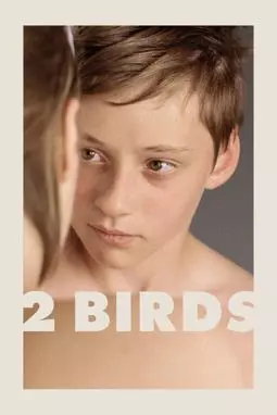 Две птицы - постер