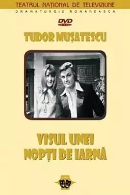 Visul unei nopti de iarna - постер