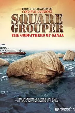 Square Grouper - постер