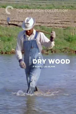 Dry Wood - постер