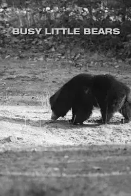 Беспокойные медвежата - постер
