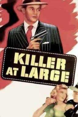 Killer at Large - постер