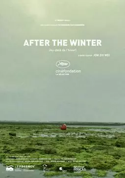 После зимы - постер