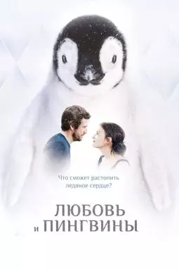 Любовь и пингвины - постер