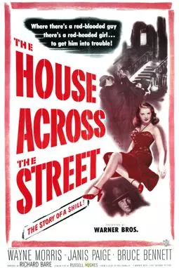 The House Across the Street - постер