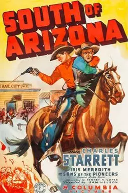 South of Arizona - постер