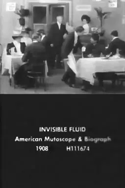 The Invisible Fluid - постер