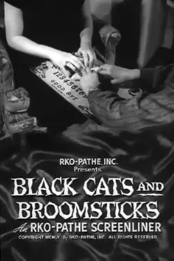 Black Cats and Broomsticks - постер