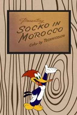 Socko in Morocco - постер