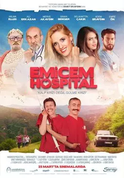 Emicem Hospital - постер