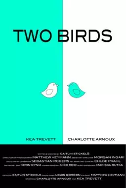 Two Birds - постер