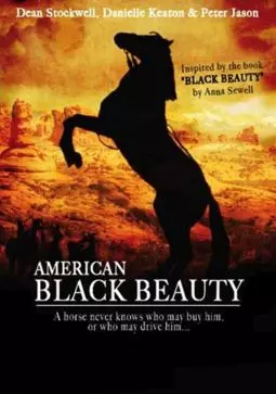 American Black Beauty - постер