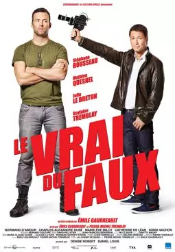 Le vrai du faux - постер