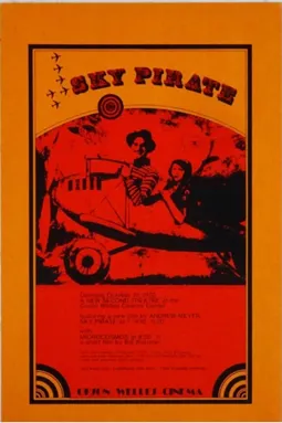 The Sky Pirate - постер