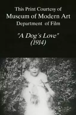 A Dog's Love - постер