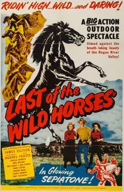 Last of the Wild Horses - постер